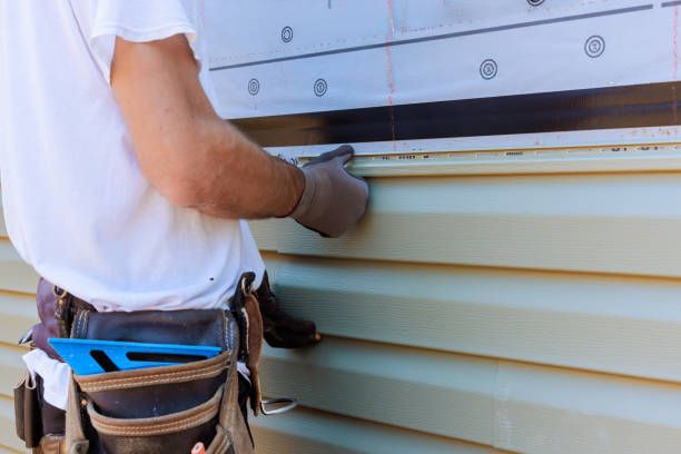 Best Fascia and Soffit Installation  in Lake Ketchum, WA